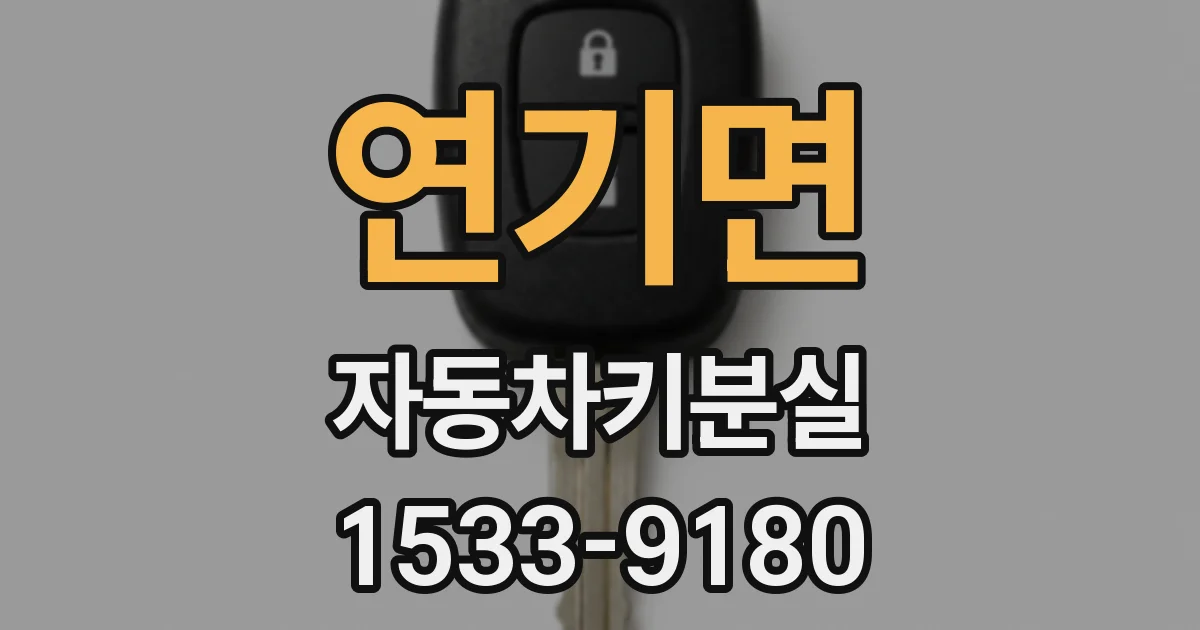 연기면 자동차키분실