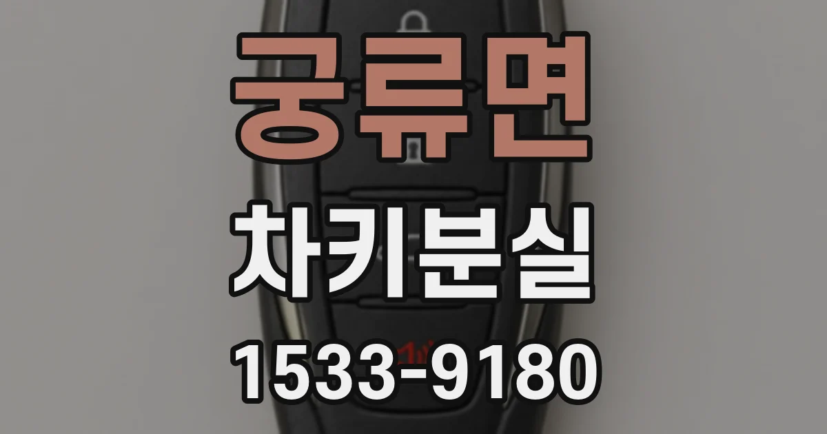 궁류면 차키분실