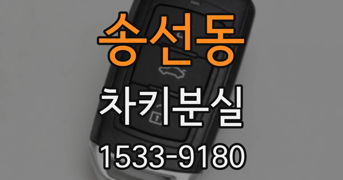 송선동 차키분실