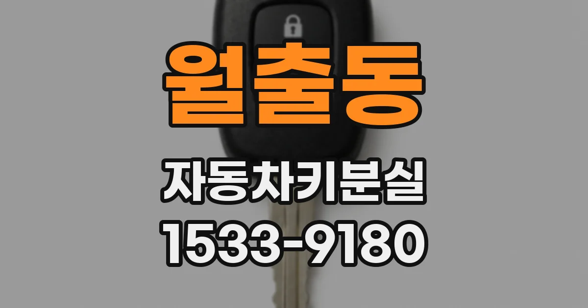 월출동 자동차키분실
