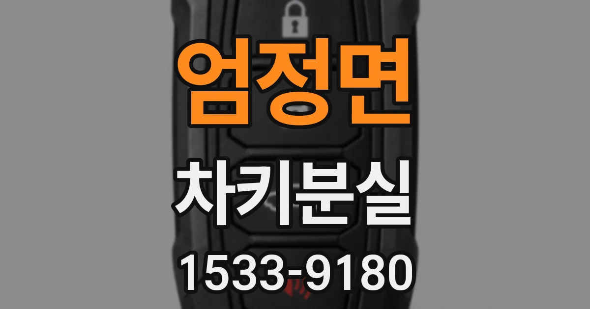 엄정면 차키분실