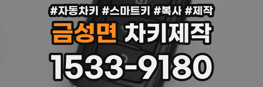 금성면 차키제작