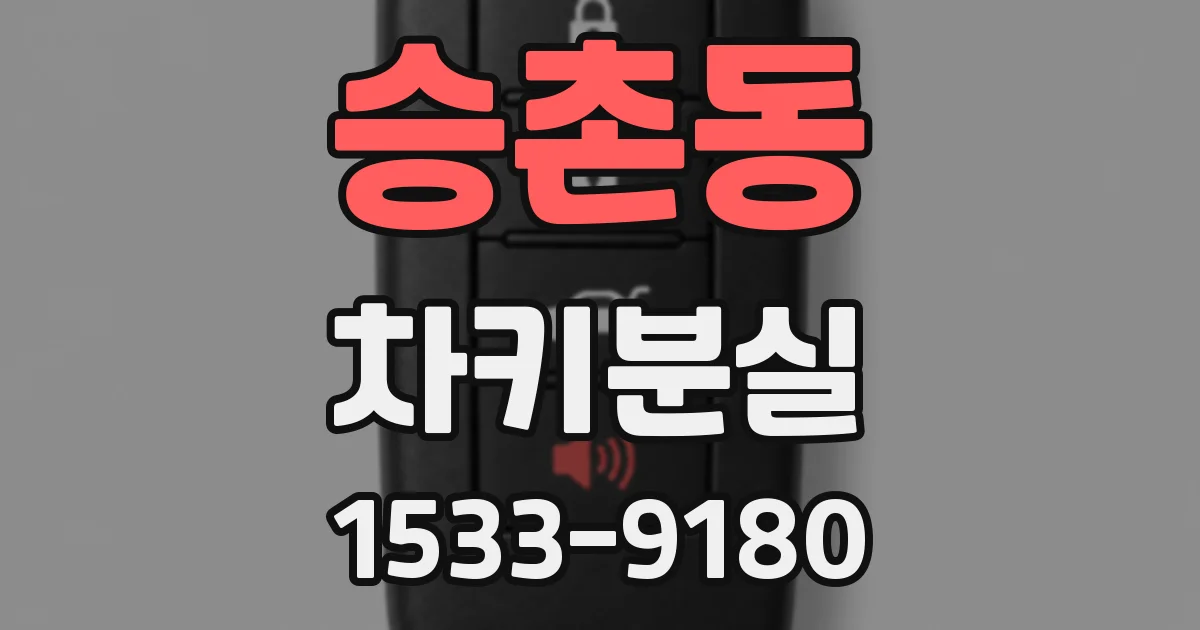 승촌동 차키분실