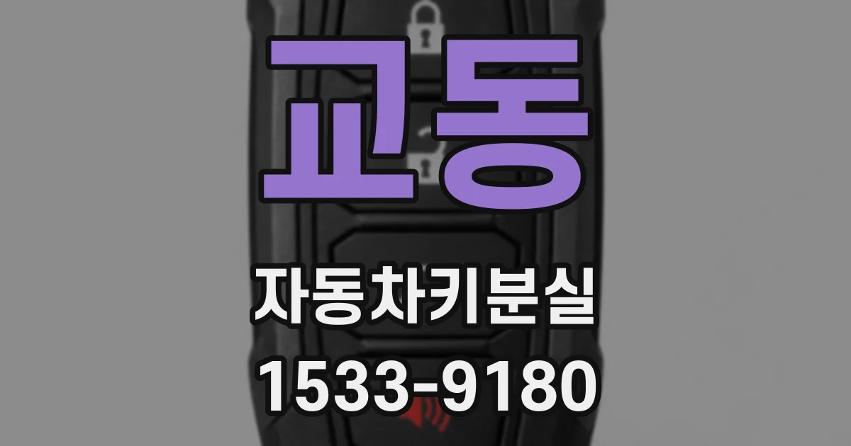 교동 자동차키분실