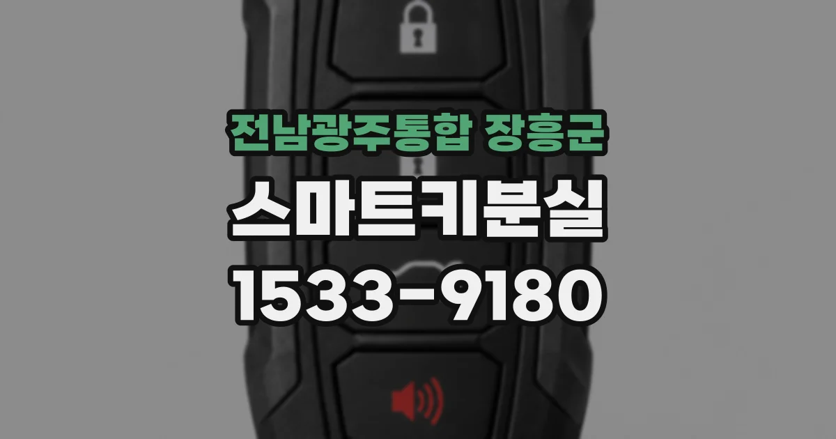전남광주통합 장흥군 스마트키분실