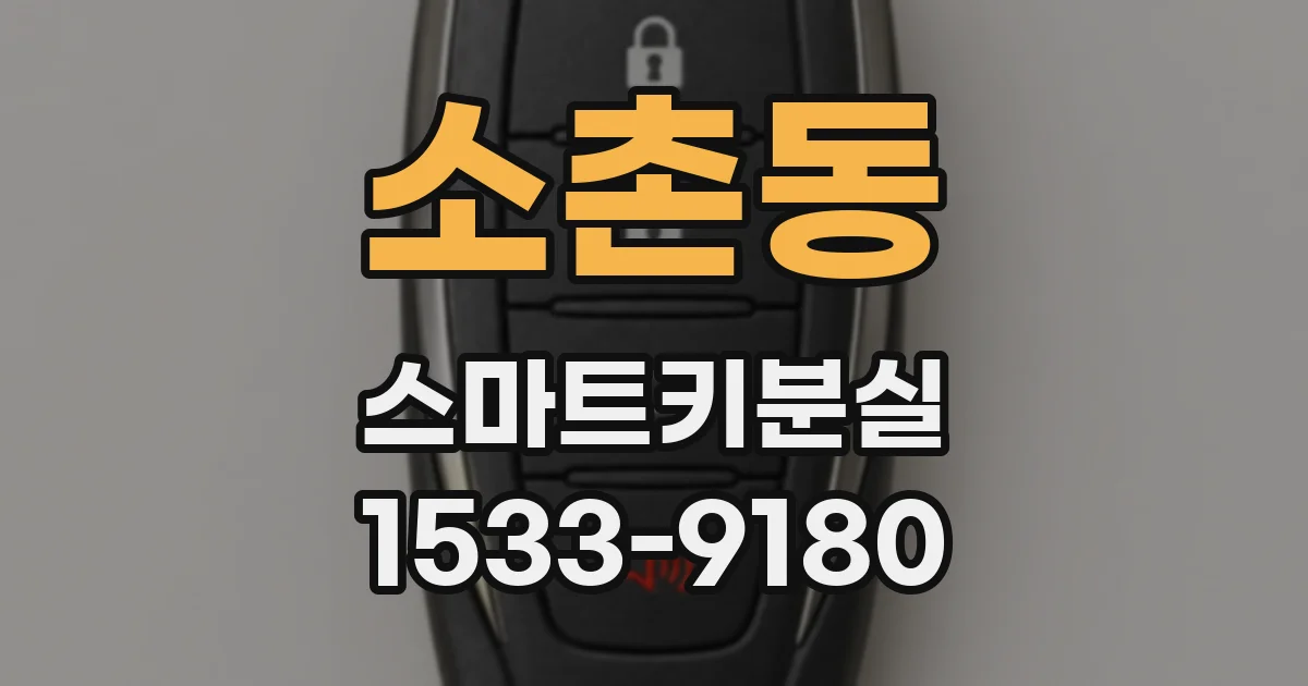 소촌동 스마트키분실
