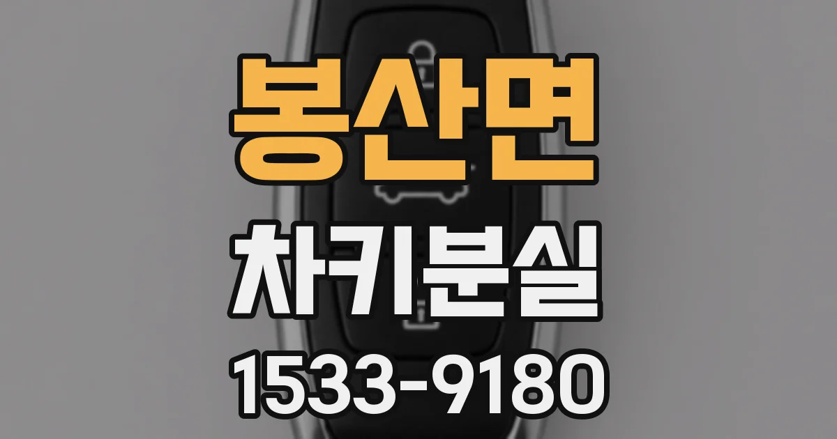 봉산면 차키분실