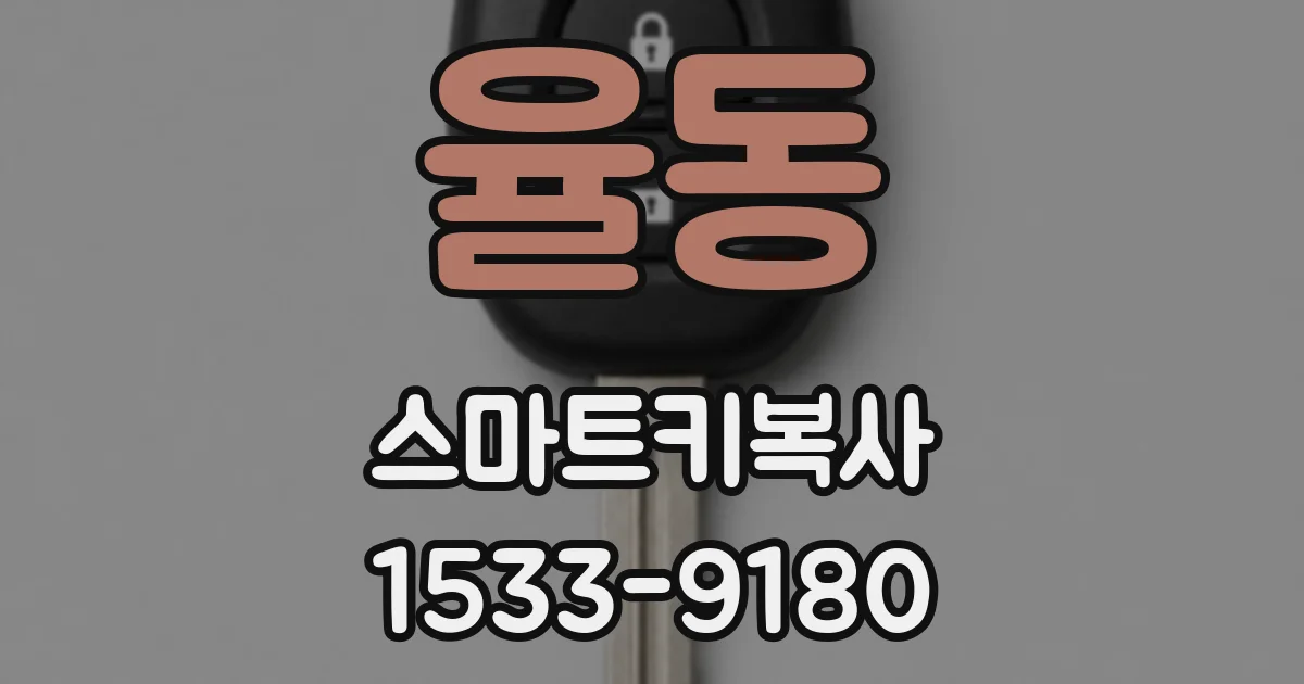 율동 스마트키복사