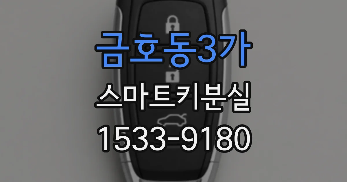 금호동3가 스마트키분실