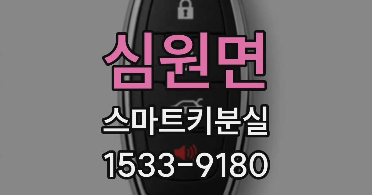 심원면 스마트키분실