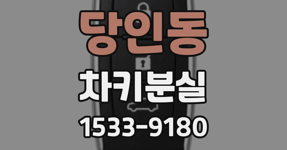 당인동 차키분실