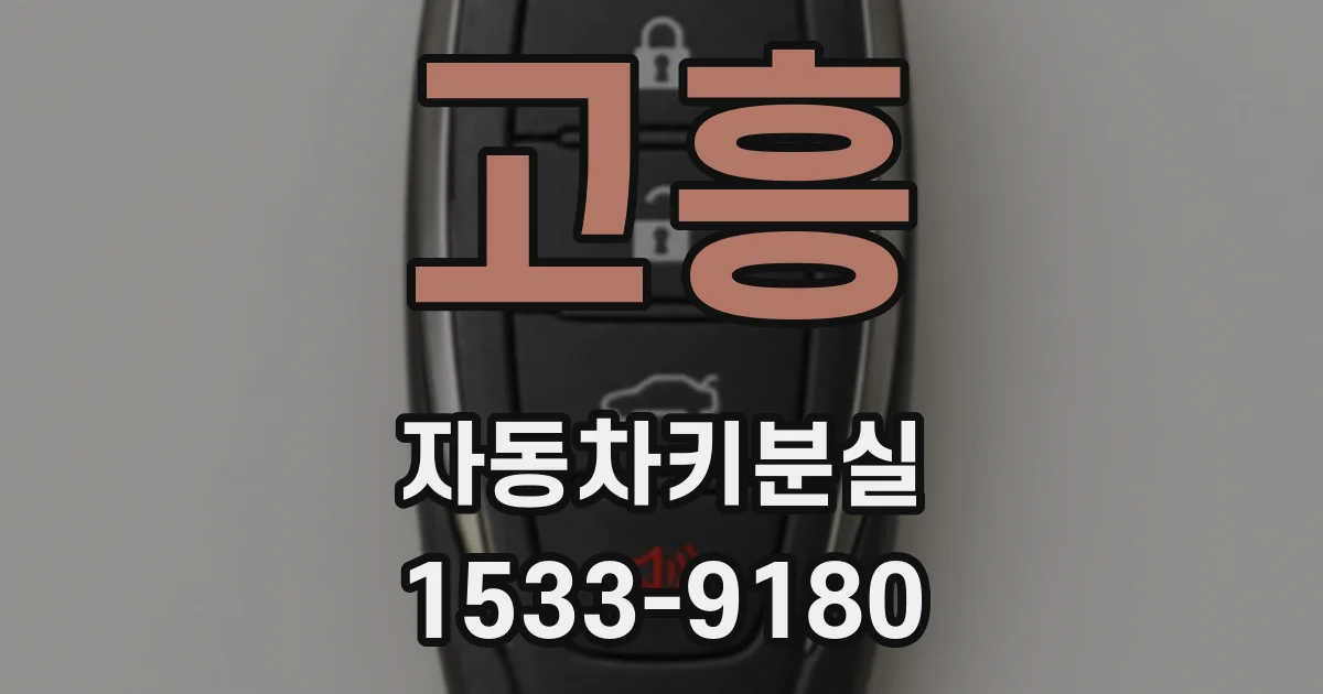 고흥 자동차키분실