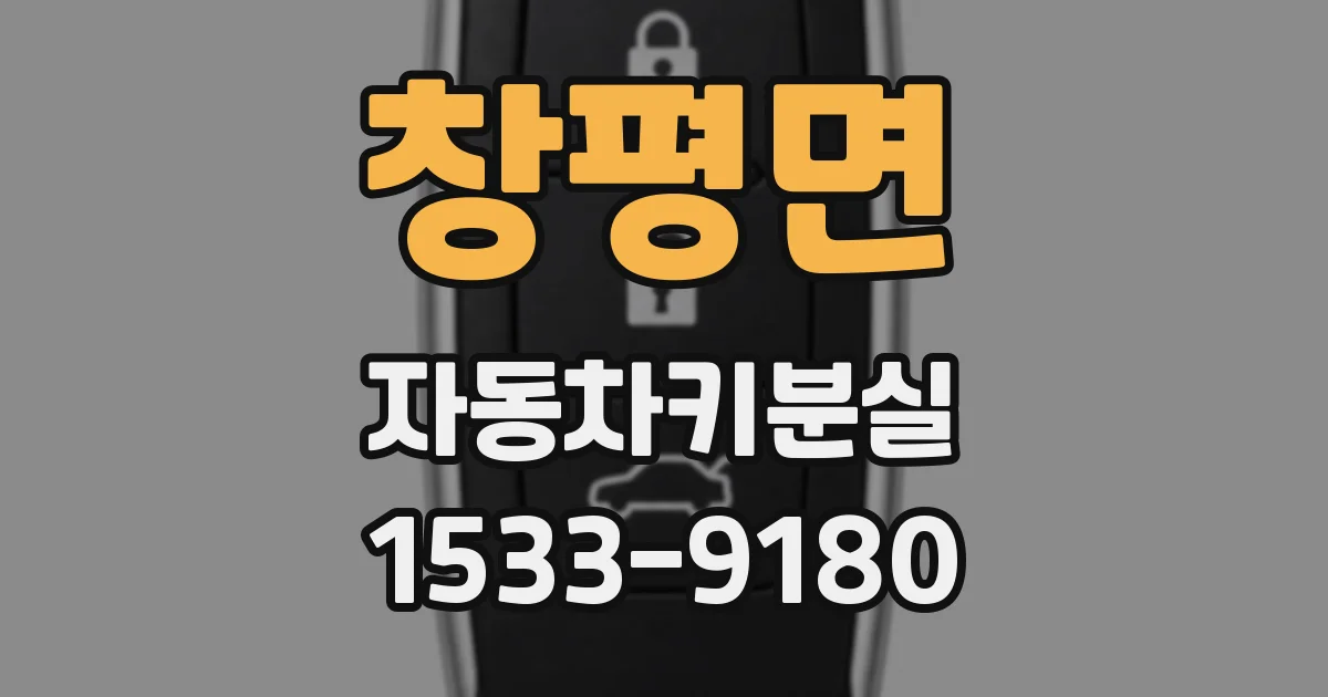 창평면 자동차키분실