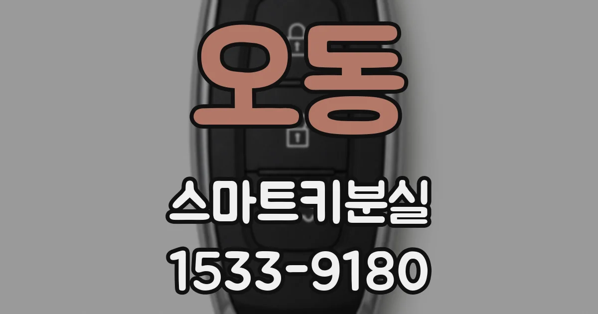 오동 스마트키분실