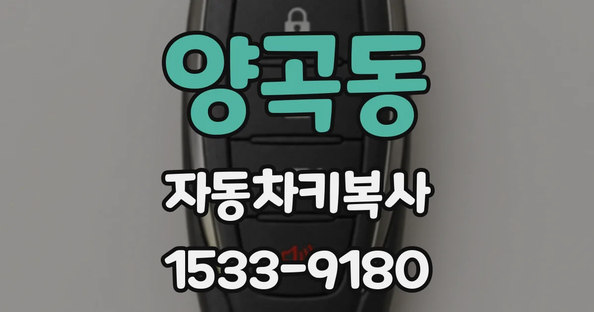 양곡동 자동차키복사