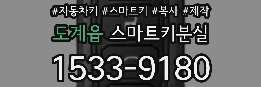 도계읍 스마트키분실