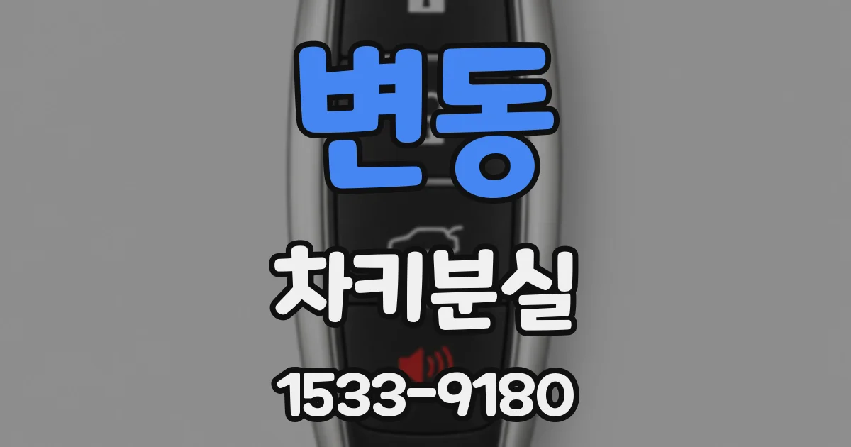 변동 차키분실