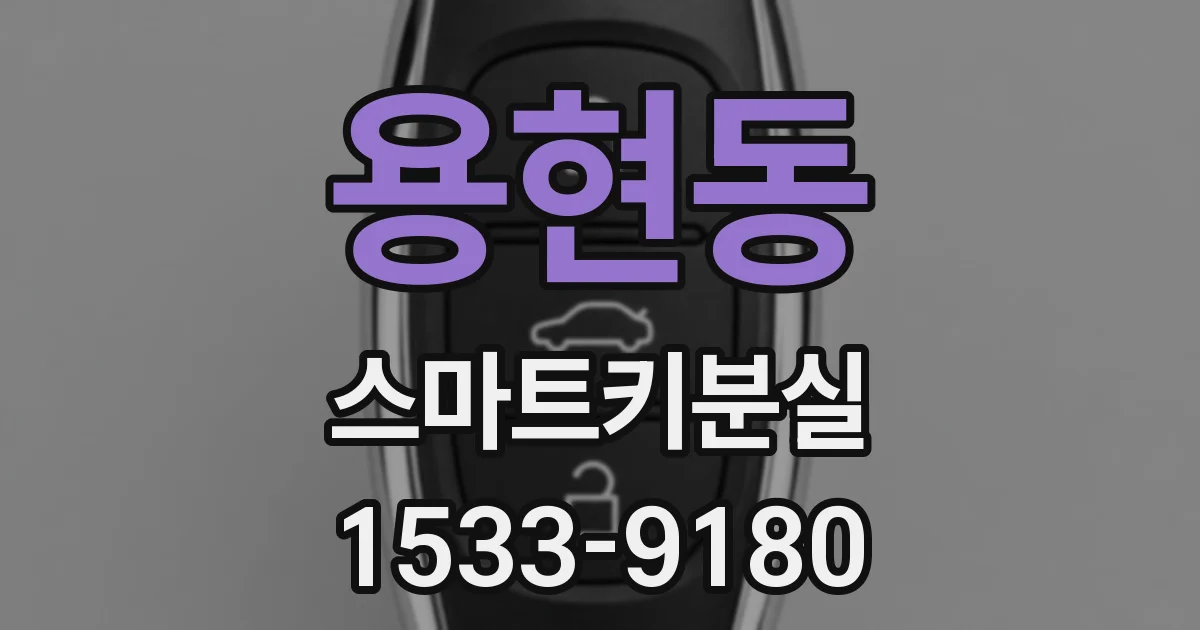 용현동 스마트키분실
