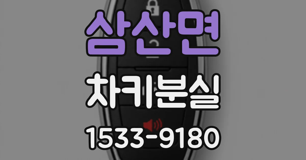 삼산면 차키분실