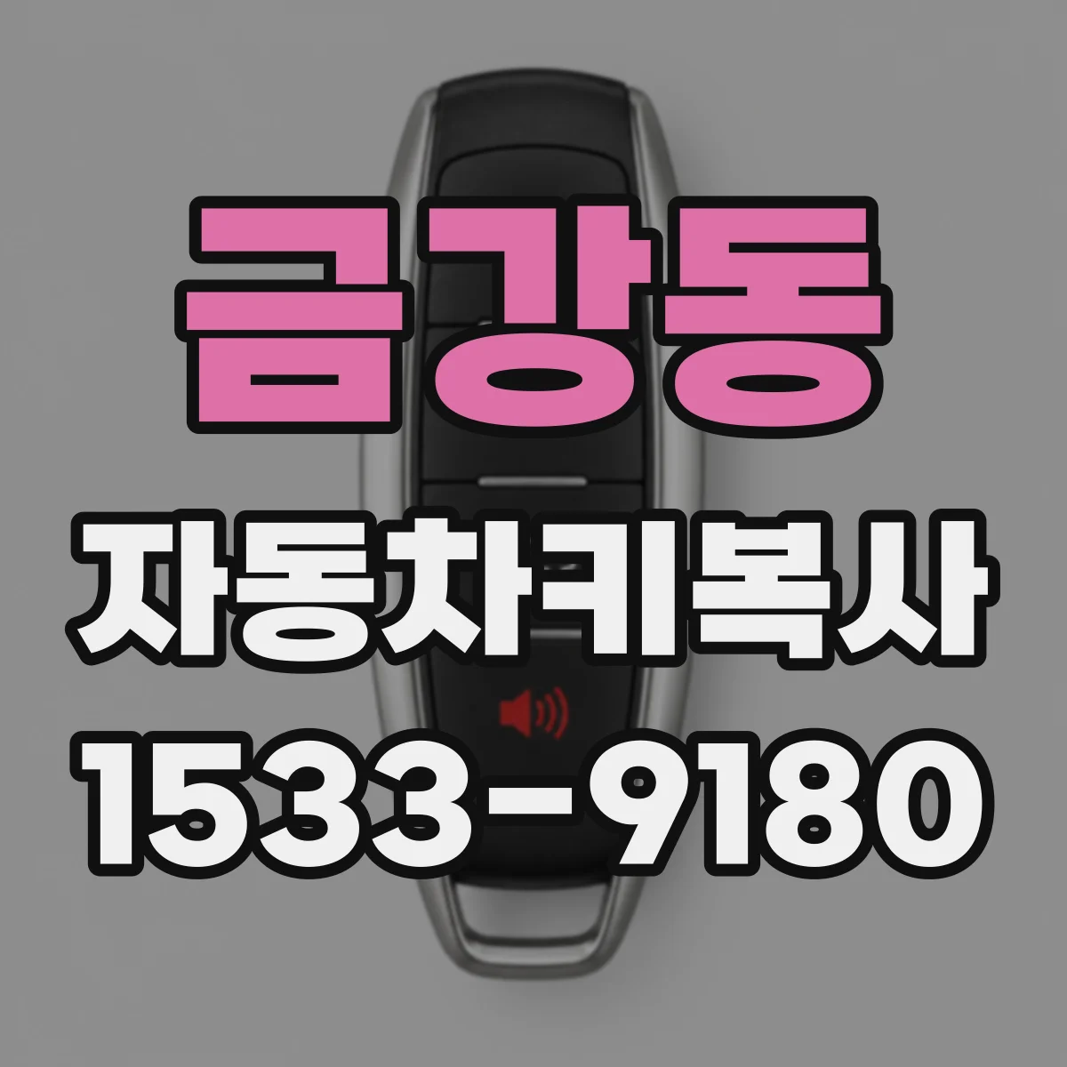 금강동 자동차키복사