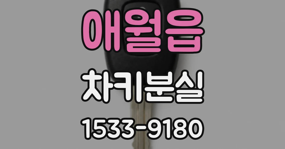 애월읍 차키분실