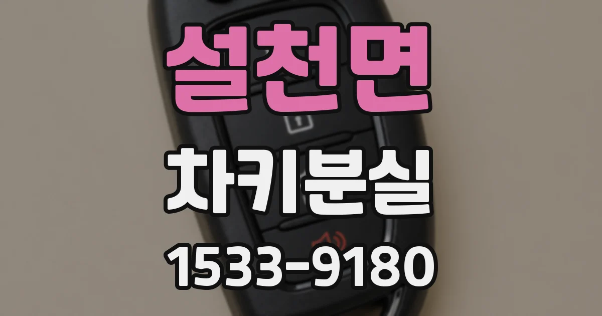설천면 차키분실
