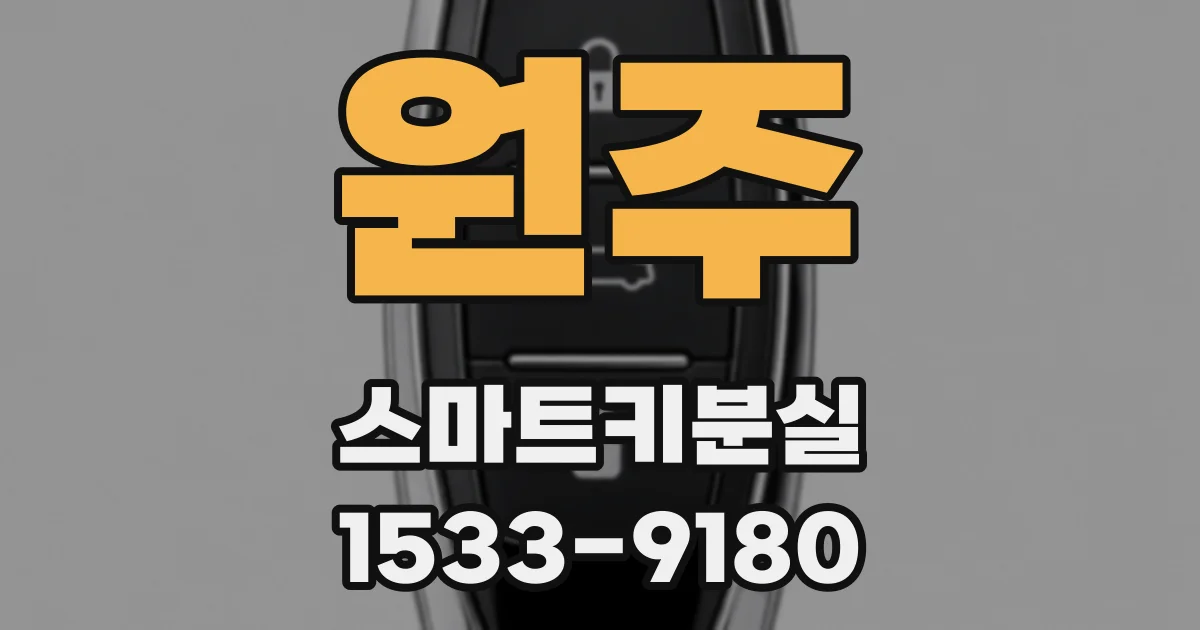 원주 스마트키분실