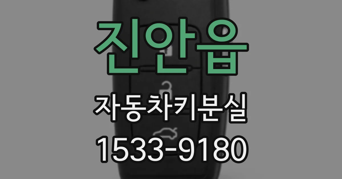 진안읍 자동차키분실