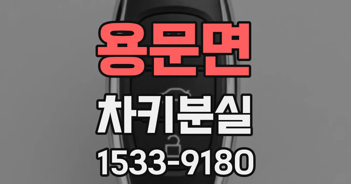 용문면 차키분실