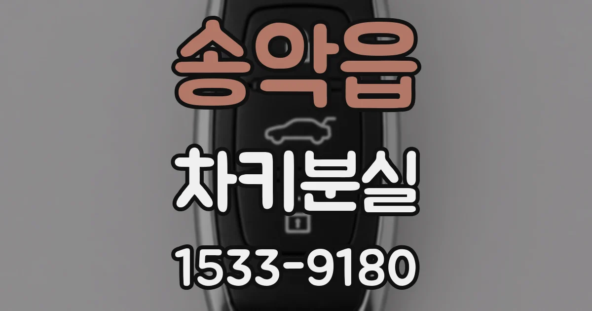 송악읍 차키분실