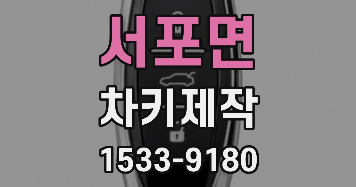 서포면 차키제작