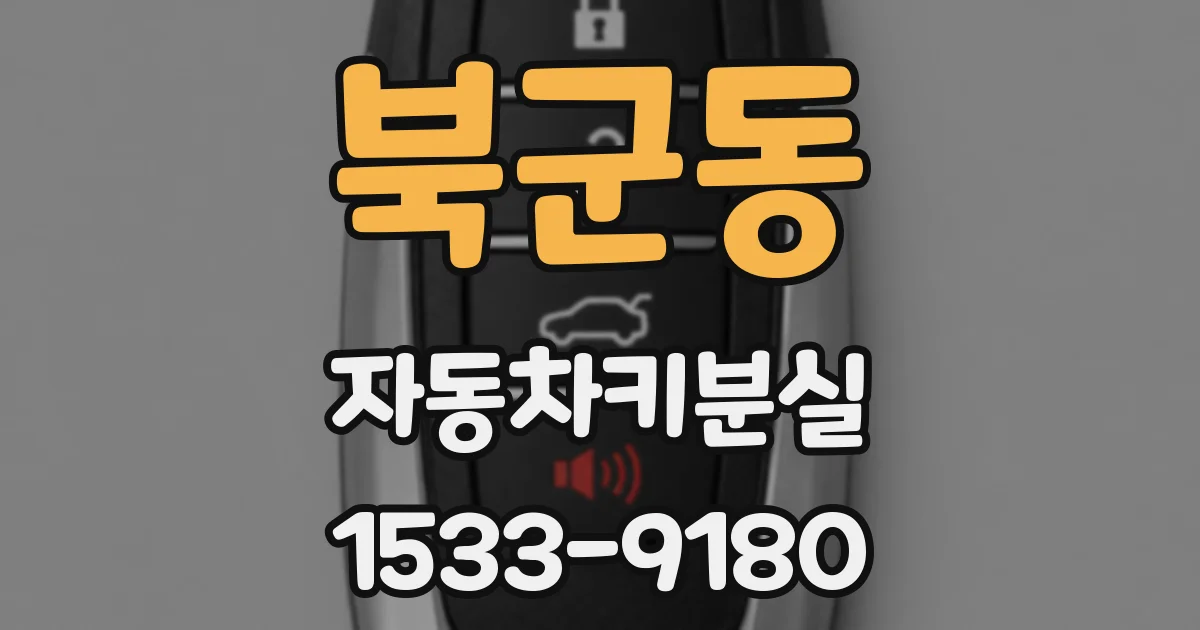 북군동 자동차키분실