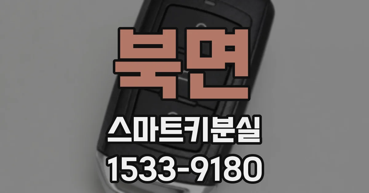 북면 스마트키분실