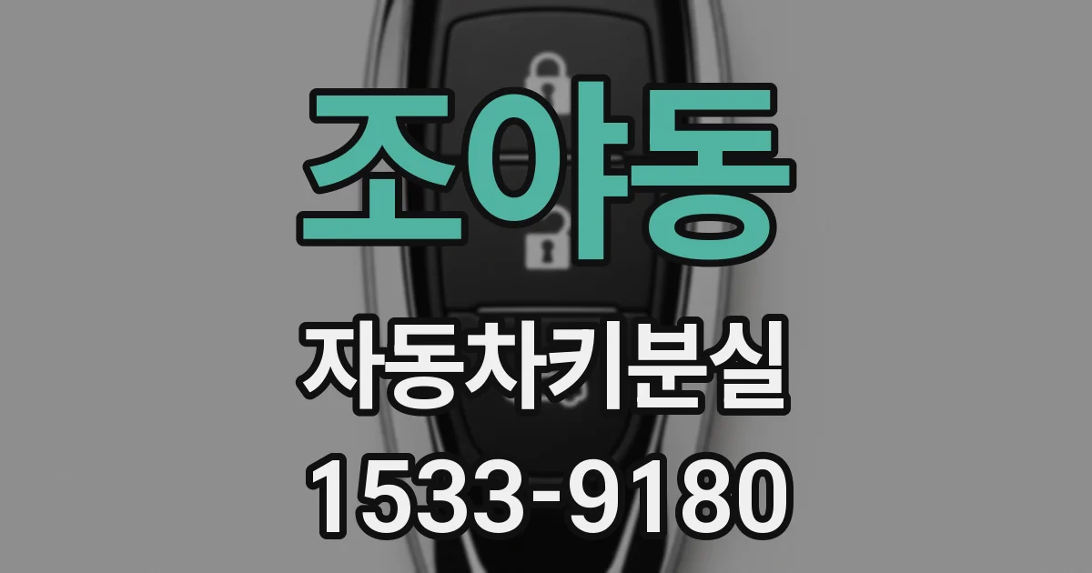 조야동 자동차키분실