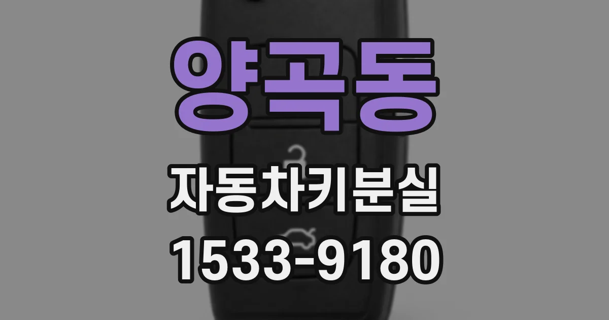 양곡동 자동차키분실