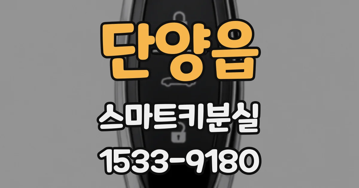 단양읍 스마트키분실