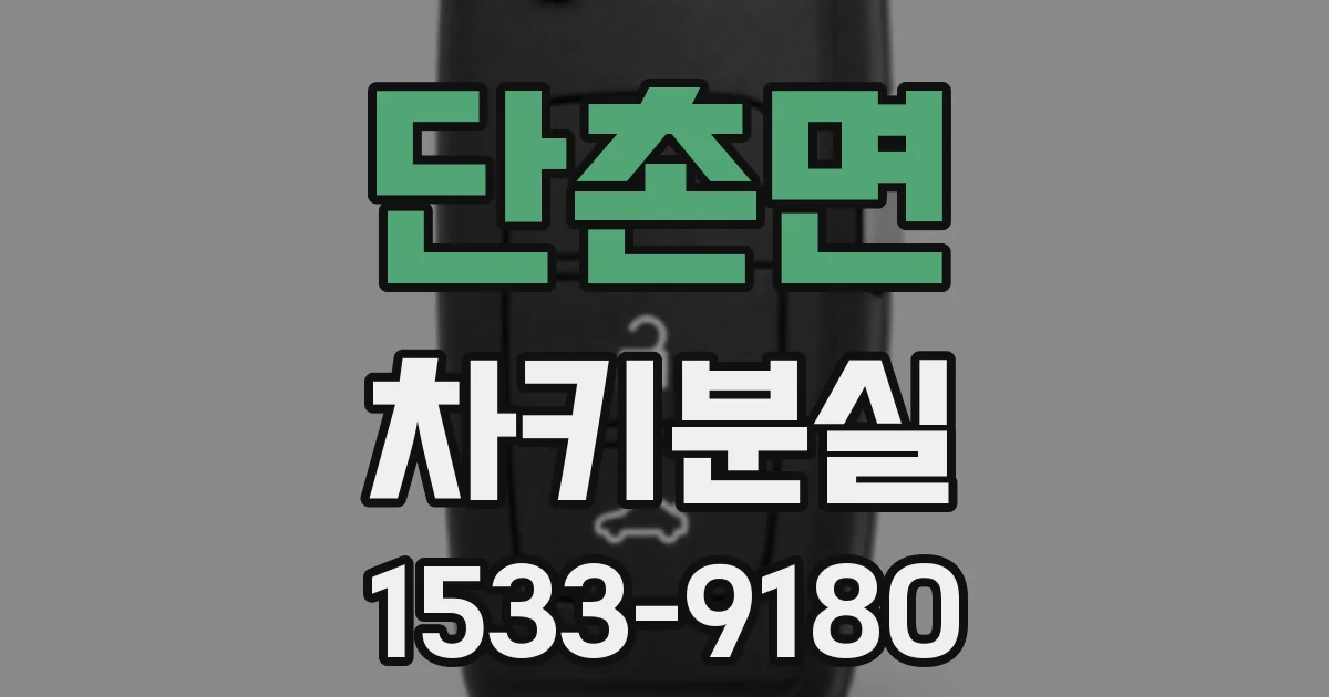 단촌면 차키분실