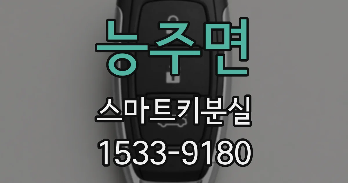 능주면 스마트키분실