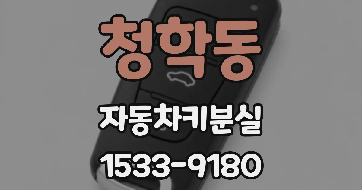 청학동 자동차키분실