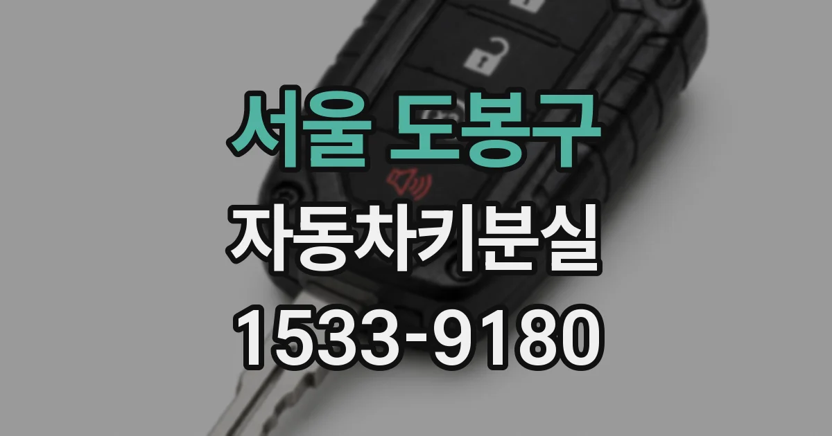 서울 도봉구 자동차키분실