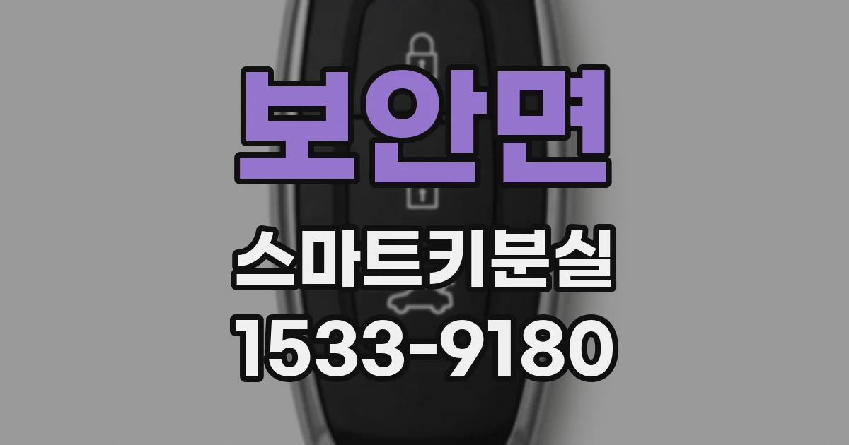 보안면 스마트키분실