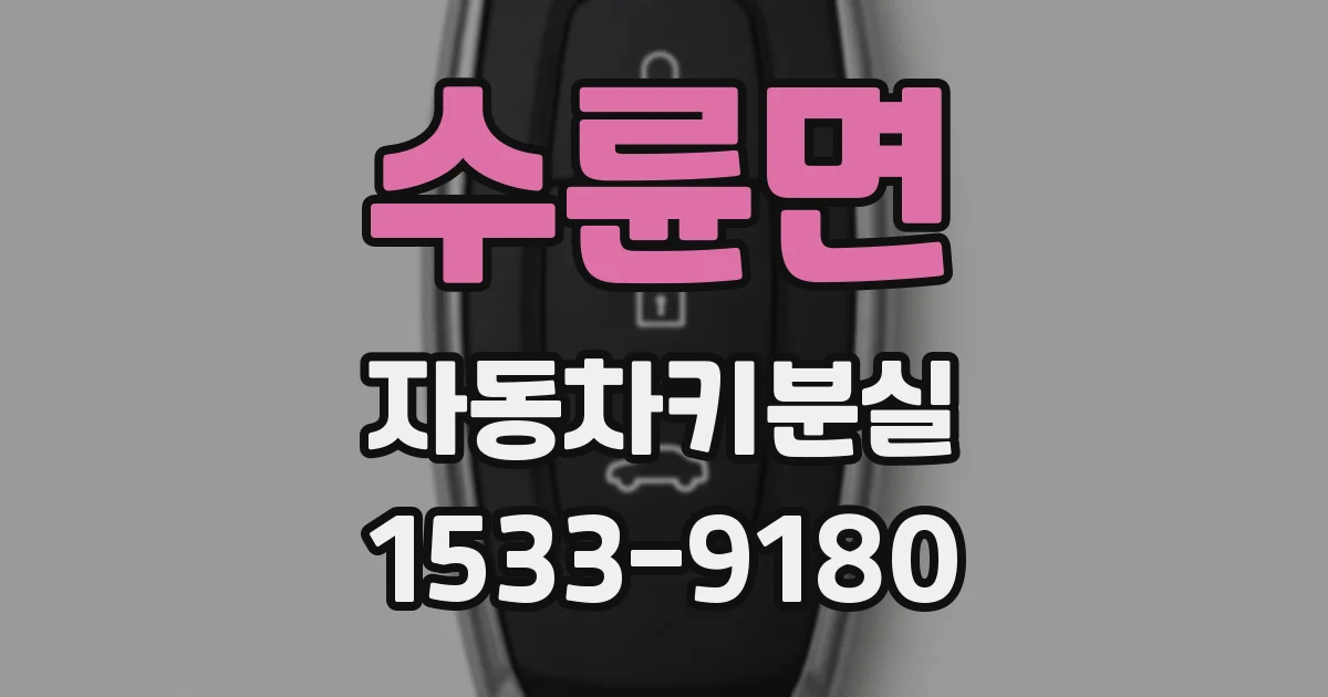 수륜면 자동차키분실