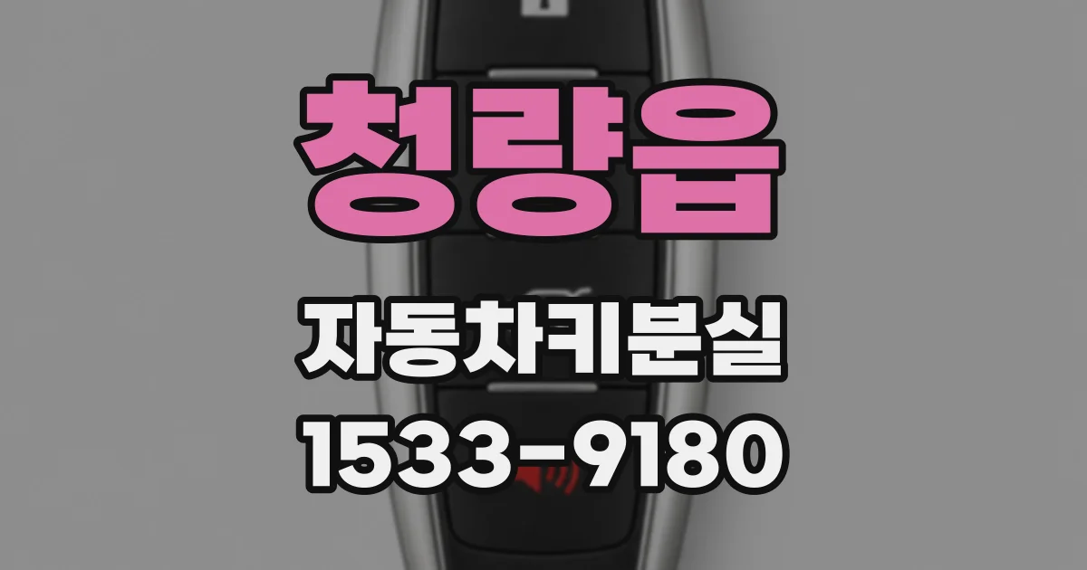 청량읍 자동차키분실