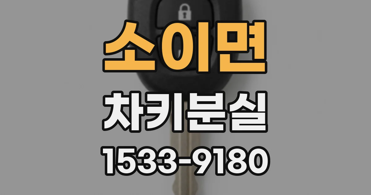 소이면 차키분실