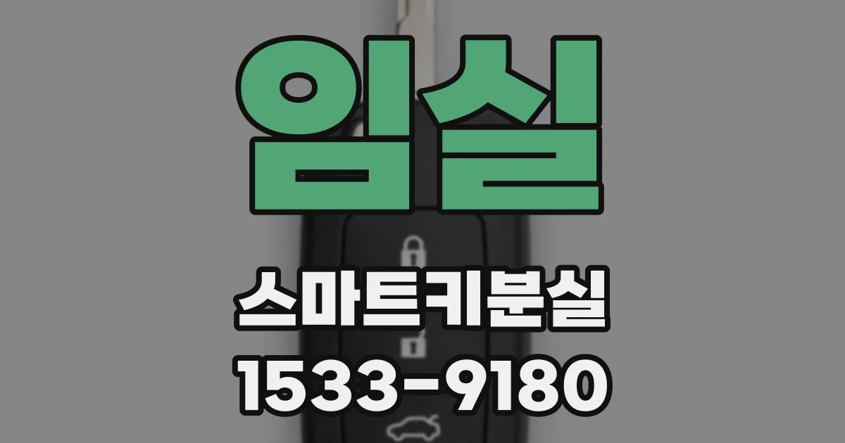 임실 스마트키분실