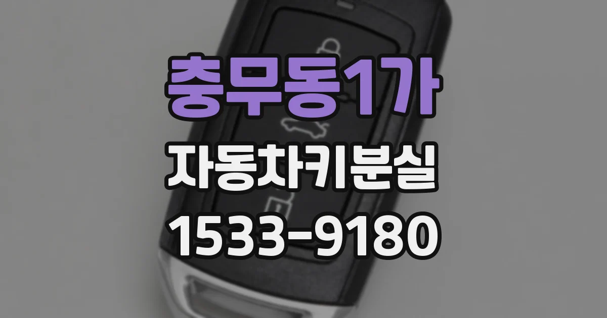 충무동1가 자동차키분실