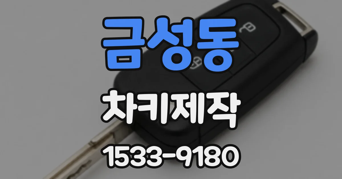 금성동 차키제작