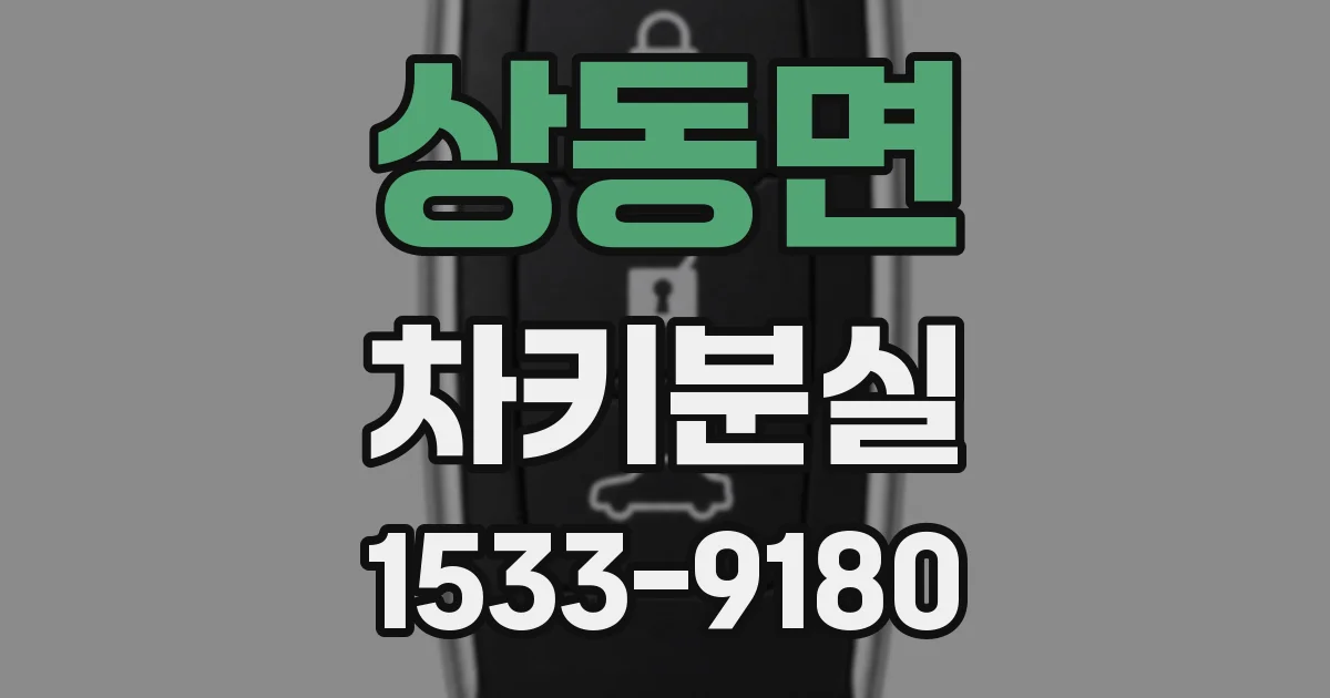 상동면 차키분실
