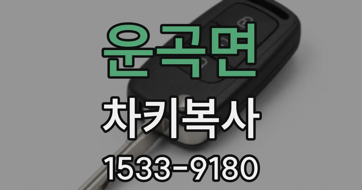 운곡면 차키복사