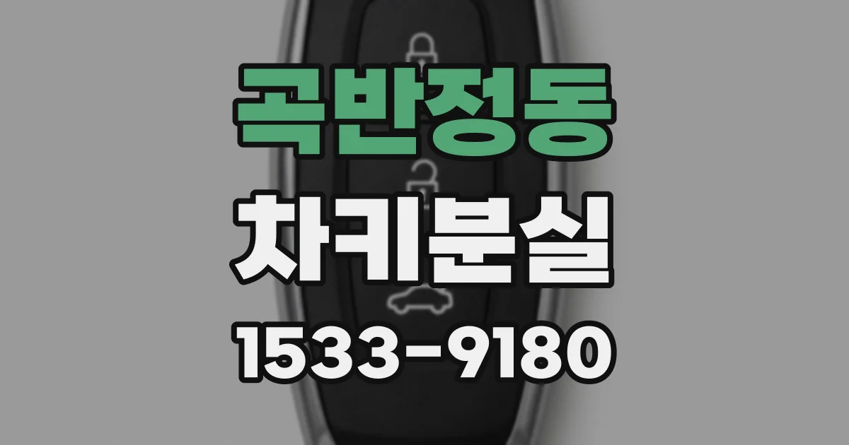 곡반정동 차키분실